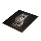 Gray Fluffy Cat Fliese (Seite)