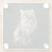 Gray Fluffy Cat Glasuntersetzer (Rückseite)