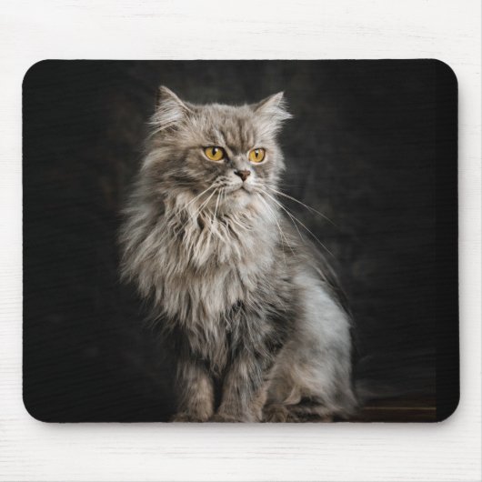 Gray Fluffy Cat Mousepad (Vorne)