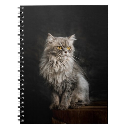 Gray Fluffy Cat Notizblock (Vorderseite)