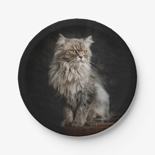 Gray Fluffy Cat Pappteller (Vorderseite)