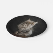 Gray Fluffy Cat Pappteller (Schrägansicht)