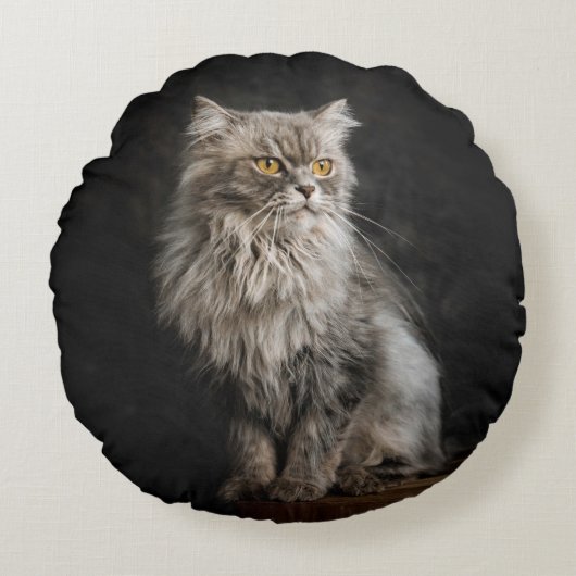 Gray Fluffy Cat Rundes Kissen (Vorderseite)