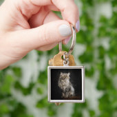 Gray Fluffy Cat Schlüsselanhänger (Hand)