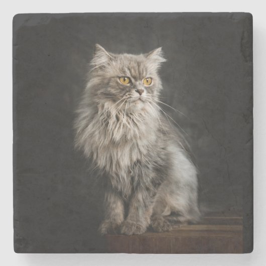 Gray Fluffy Cat Steinuntersetzer (Vorderseite)