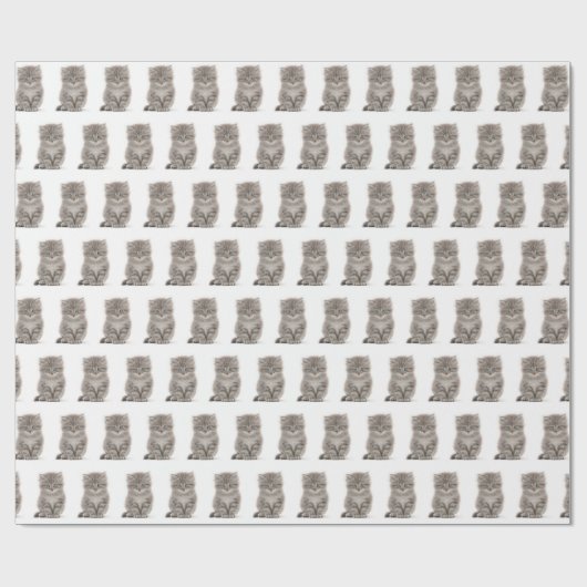 Gray Fluffy Kitten auf Weiß Geschenkpapier (Flach)