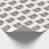 Gray Fluffy Kitten auf Weiß Geschenkpapier (Ecke)
