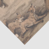 Gray Fox (Canis Virginianus) Seidenpapier (Detail)