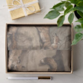 Gray Fox (Canis Virginianus) Seidenpapier (Geschenk)