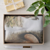 Gray Fox (Canis Virginianus) Seidenpapier (Geschenk)