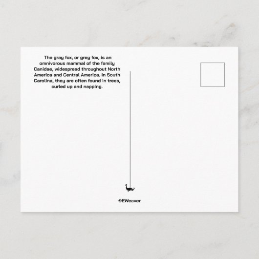 Gray Fox Postcard Postkarte (Rückseite)