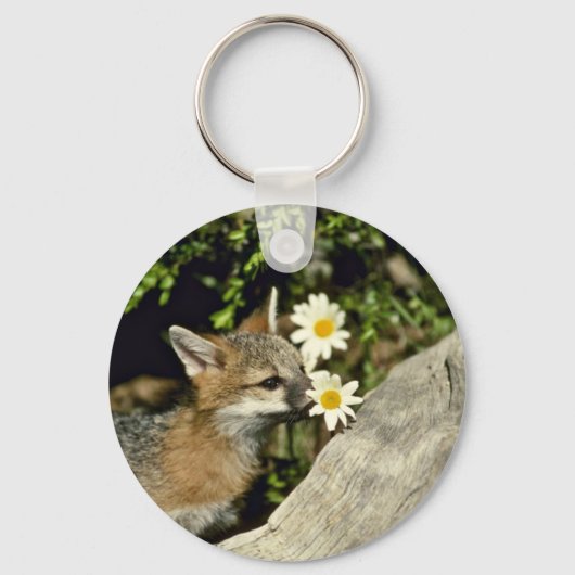 Gray Fox-young kit schnüffeln/essen Blume Schlüsselanhänger (Vorderseite)
