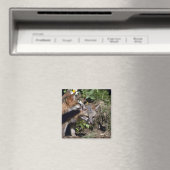 Gray Foxes-young kits Magnet (In Situ (Geschirrspüler))