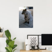 Gray Furry Australian Quokka, Poster (Heimbüro)