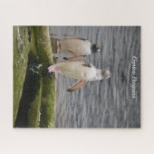 Gray Gentoo Penguin Edinburgh Zoo Schottland Puzzle (Horizontal)