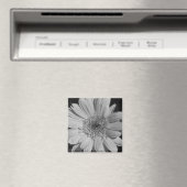 Gray Gerbera Magnet (In Situ (Geschirrspüler))