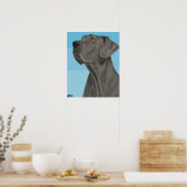 Gray Great Dane - Blick auf den blauen Hintergrund Poster (Küche)