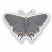 Gray Hairstreak Butterfly Aufkleber (Vorderseite)