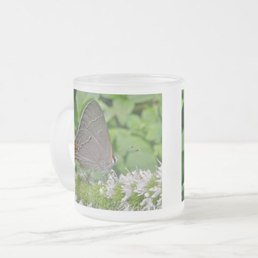 Gray Hairstreak Butterfly Mattglastasse (Vorderseite Links)