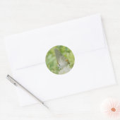 Gray Hairstreak Butterfly Stickers (Umschlag)
