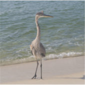 Gray Heron Aufkleber (Vorderseite)