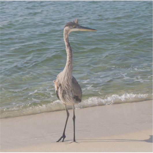 Gray Heron Aufkleber (Vorderseite)