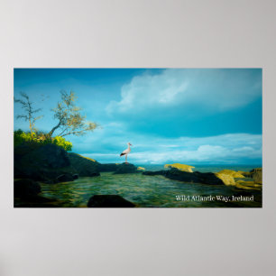 Gray Heron Image for Poster