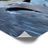 Gray Heron Poster (Ecke)