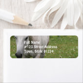 Gray Horse Mailing Labels (Insitu)