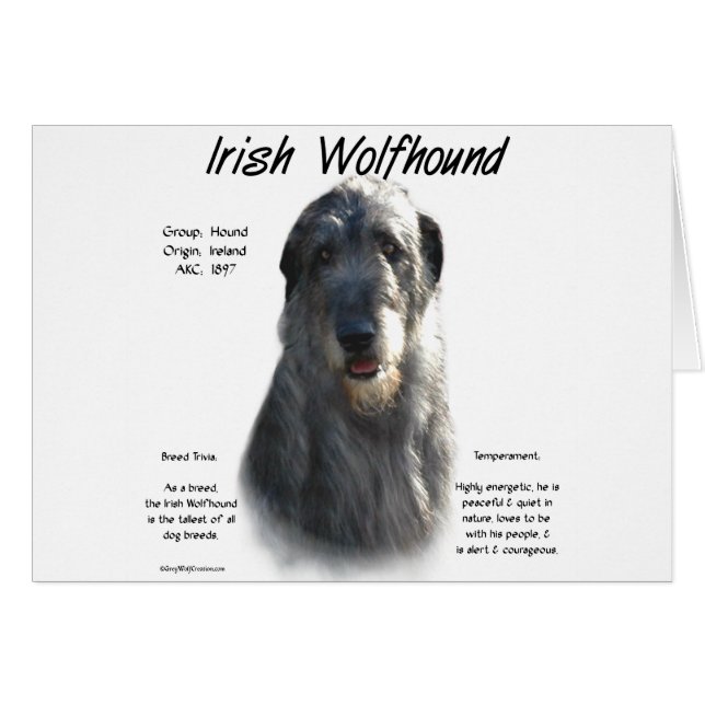 Gray Irish Wolfhound History (Vorderseite (Horizontal))