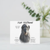 Gray Irish Wolfhound History Postkarte (Stehend Vorderseite)