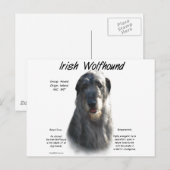 Gray Irish Wolfhound History Postkarte (Vorne/Hinten)