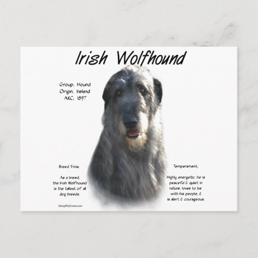 Gray Irish Wolfhound History Postkarte (Vorderseite)