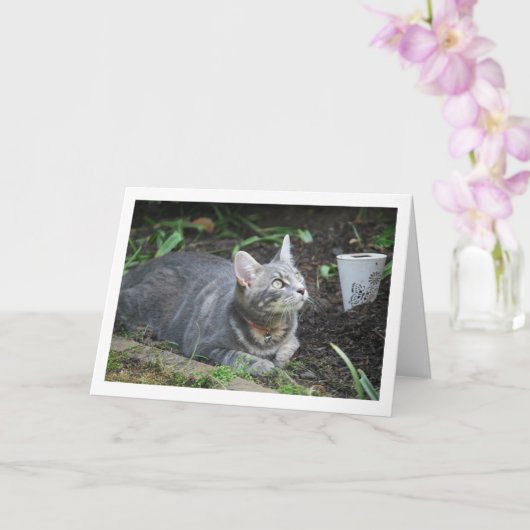 Gray Kitten and Garden Lamp Karte (Orchidee)
