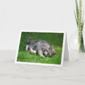 Gray Kitten auf dem Rasen Karte (Vorderseite)