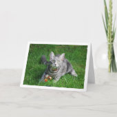 Gray Kitten auf Rasen mit Toy Karte (Vorderseite)