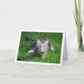 Gray Kitten auf Rasen mit Toy Karte (Vorderseite)