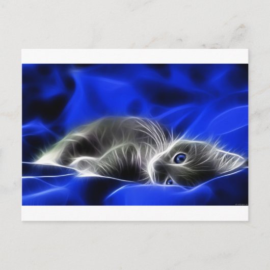 Gray Kitten Awakes Postkarte (Vorderseite)