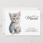 Gray Kitten Cat Moving New Zuhause we ve Moved Ankündigung (Vorderseite)