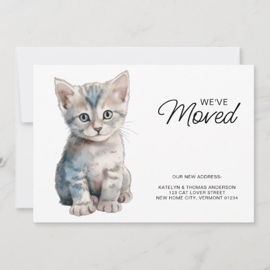 Gray Kitten Cat Moving New Zuhause we ve Moved Ankündigung (Vorderseite)