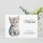 Gray Kitten Cat Moving New Zuhause we ve Moved Ankündigung (Stehend Vorderseite)