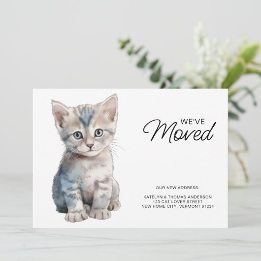 Gray Kitten Cat Moving New Zuhause we ve Moved Ankündigung (Stehend Vorderseite)
