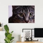 Gray Kitten Face 2 Poster (Heimbüro)