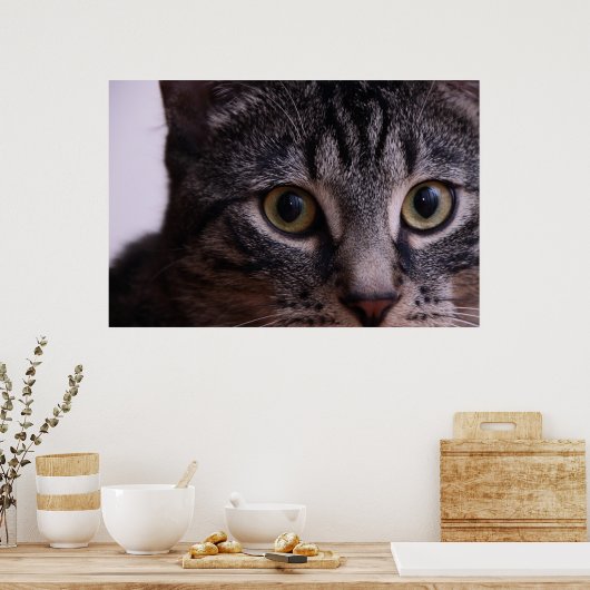 Gray Kitten Face 2 Poster (Küche)