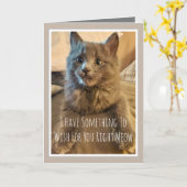 Gray Kitten Funny Birthday Card From Cat Karte (Gelbe Blume)