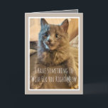 Gray Kitten Funny Birthday Card From Cat Karte<br><div class="desc">Die lustige Geburtstagskarte von der Katze</div>