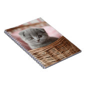 Gray Kitten in Basket-Notebook Notizblock (Rechte Seite)