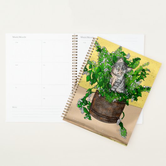 Gray Kitten in Eimer Catnip Planer (Anzeige)