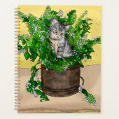 Gray Kitten in Eimer Catnip Planer (Vorderseite)