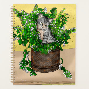 Gray Kitten in Eimer Catnip Planer